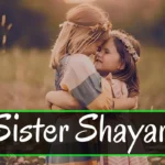 Love-for-Sister-Shayari-–-भाई-बहन-के-प्यार-को-दर्शाती-शायरी-इमेज-हिंदी-में