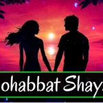 Mohabbat-Shayari-in-Hindi-–-Pyar-aur-Ishq-ke-liye-dil-se-likhi-hui-romantic-love-shayari-lovers-ke-liye-special-lines
