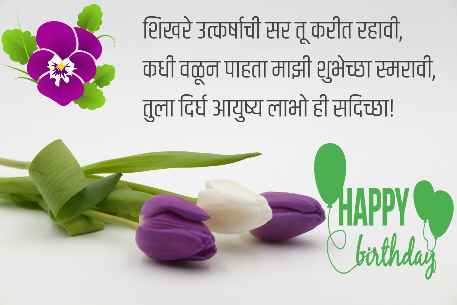 Happy Birthday Wishes in Marathi