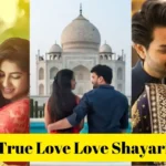 True Love Love Shayari in Hindi
