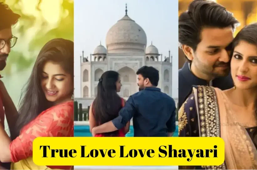 True Love Love Shayari in Hindi